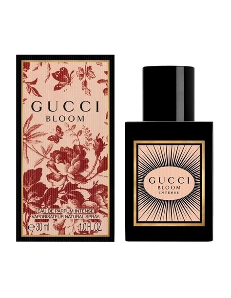 gucci bloom myer